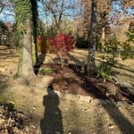 Garden Projects