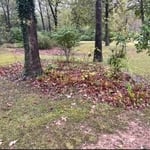 Garden Projects