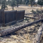 Pic 1