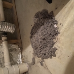 dryer vent
