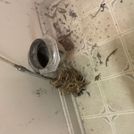 dryer vent