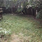 IL Yard Cleanup.