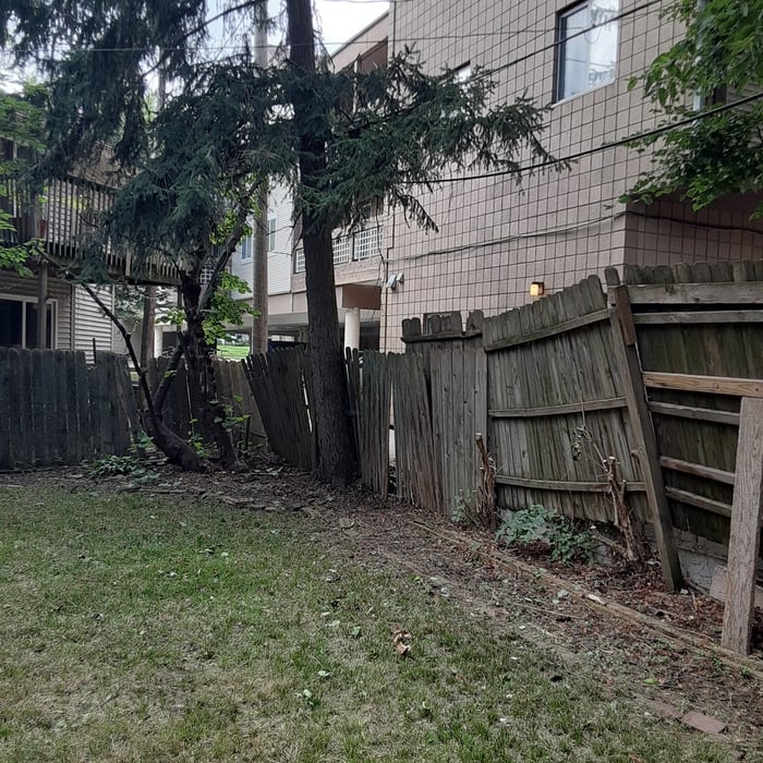 IL Yard Cleanup.