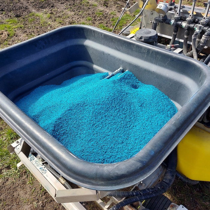Lawn overseeding