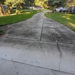 Driveway Before