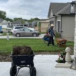 Removing sod and cutting natural edge