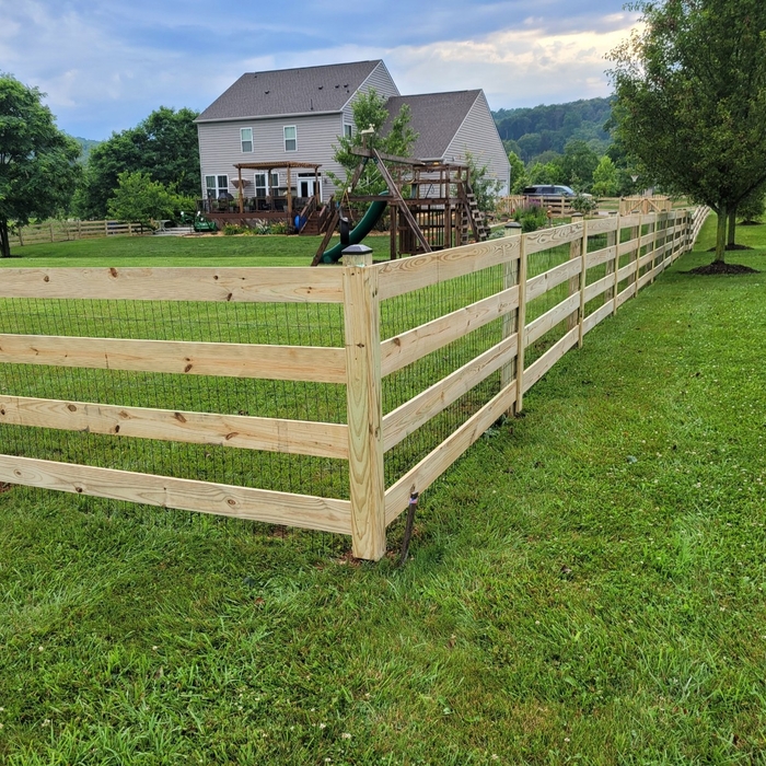 Paddock Fence