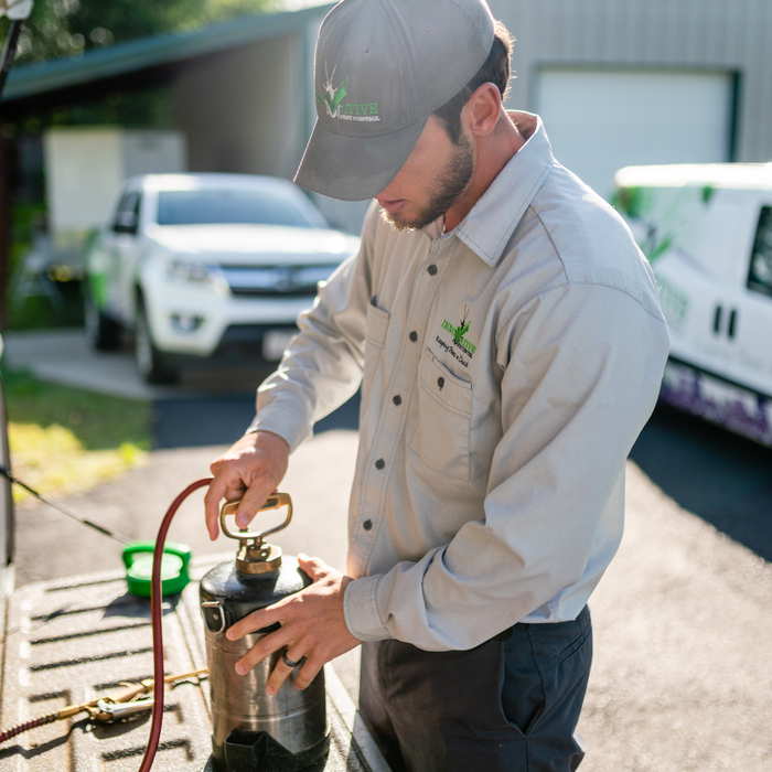 Service Professional
