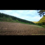 Our Work