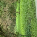 Our Work