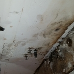 Interior mold problem