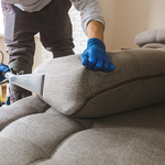 Sectional Cleaning/Deodorizing