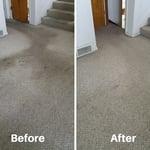 Residential Carpet Cleaning