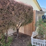 new fence