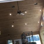 Can lighting and ceiling fan
