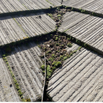 Debris is roof valley