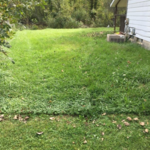 Geauga county