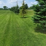Big lawn