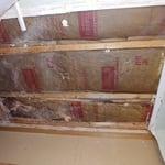 After Asbestos Removal
