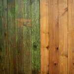 Before and after of moldy privacy fence