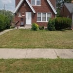 Grass cutting