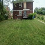 Grass cutting