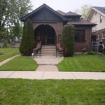 Grass cut/ tree trimming
