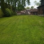 Grass cut/ tree trimming