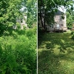 Bush Removal