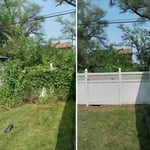 Bush Removal