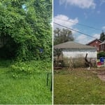 Bush Removal