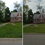 Grass cut/ tree trimming