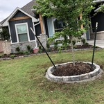 Rock gardens
