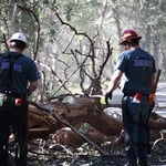 Madrone hazard 2021