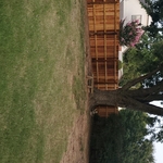 Interior Yard