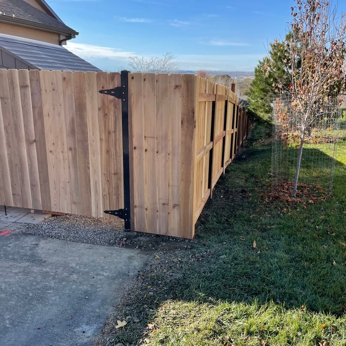 Cedar Privacy Fence