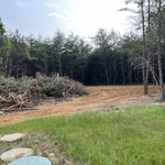 Clearing for Basketball court