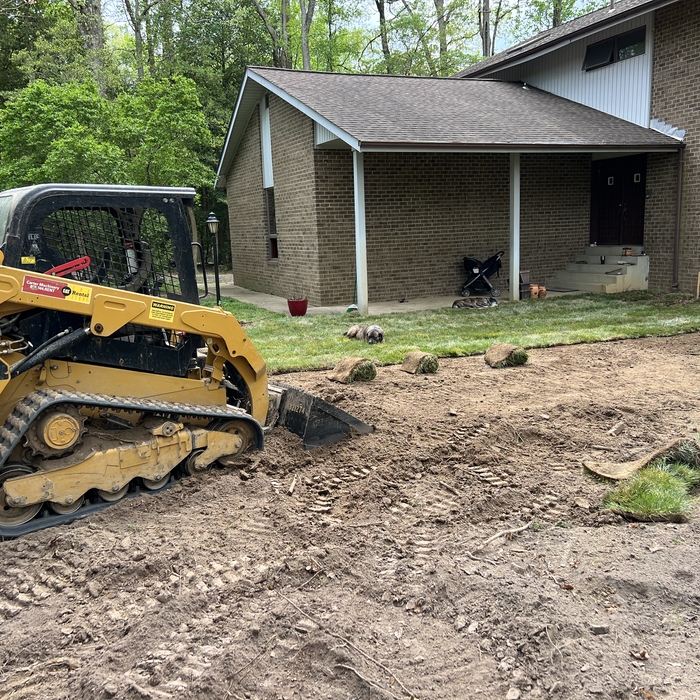 New sod for front yard