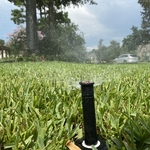 Toro Precision spray