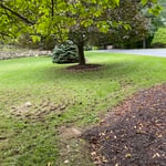 Aerating