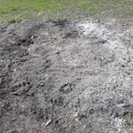 yard debris clean-up