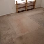 house clean-up