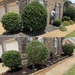 Flowerbed Project