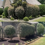 Recent Projects