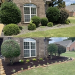 flowerbed project