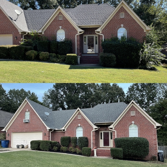 Recent Projects