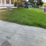 Lawn cleaning and trees