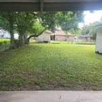 Back yard