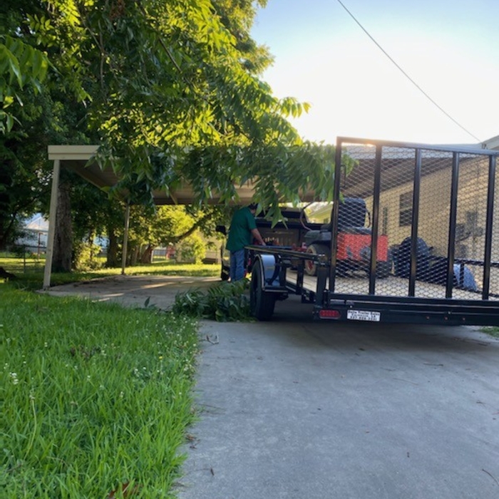 Lawn cleaning and trees
