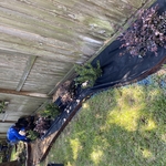 Flower Bed Installation